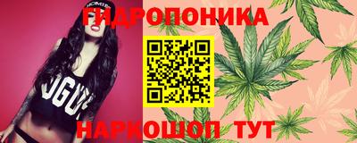 мяу мяу мука Гуково
