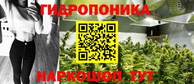 твердый Гулькевичи