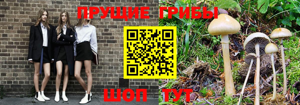 Псилоцибиновые грибы Cubensis  Галлюциногенные грибы ЛСД  Волгоград  Вход с VPN 