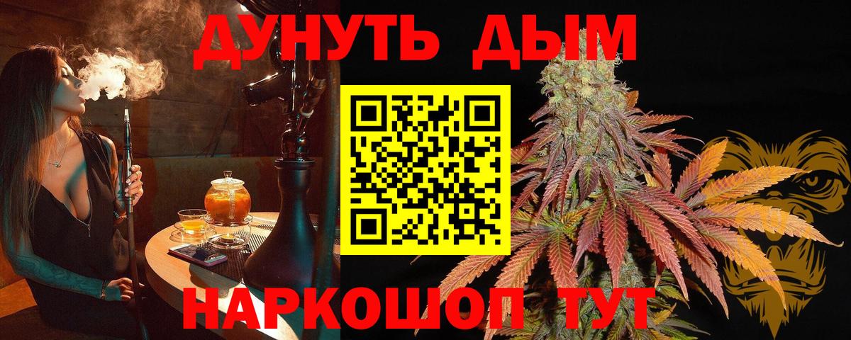 Волгоград  Канабис сатива  Марихуана план  Конопля конопля  Вход с VPN 